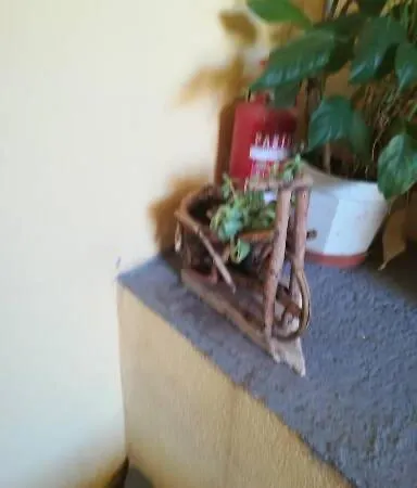 Knezic Appartement *