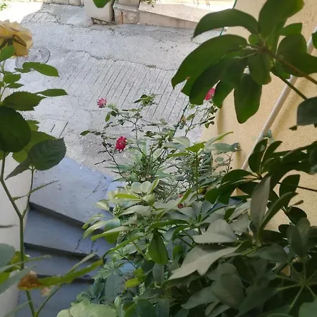 Knezic Appartement Igrane
