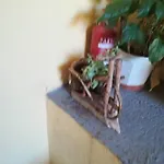 Knezic Appartement *