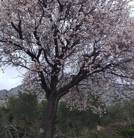 아파트 Knezic *
