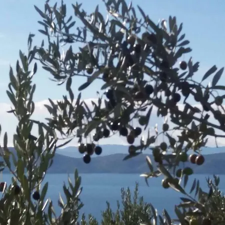 Knezic Appartement Igrane