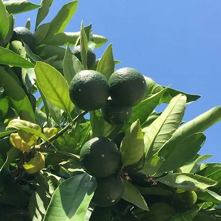 Appartement Knezic Igrane